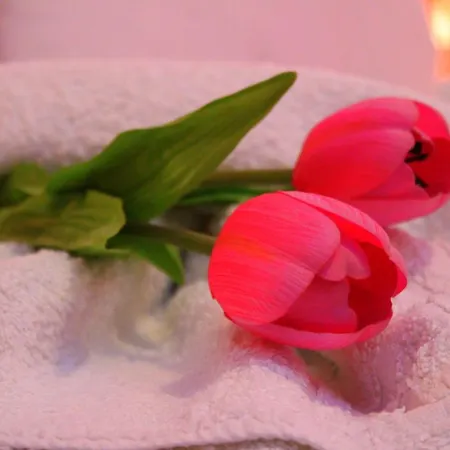 Tzaneria Skiathos Daire