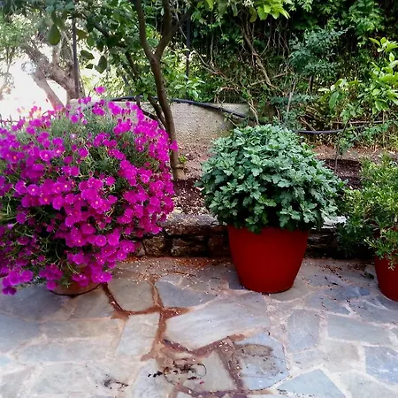 Tzaneria Skiathos Apartment *