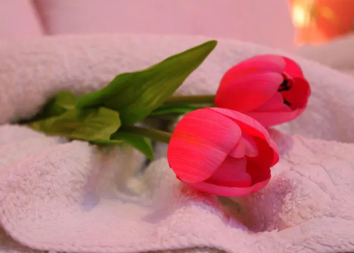 Tzaneria Skiathos Apartment