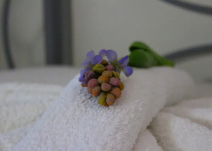 Apartment Tzaneria Skiathos Kanapitsa (Skiathos)