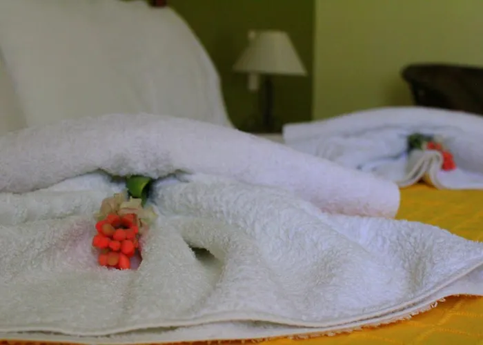 Tzaneria Skiathos Apartment Kanapitsa (Skiathos)