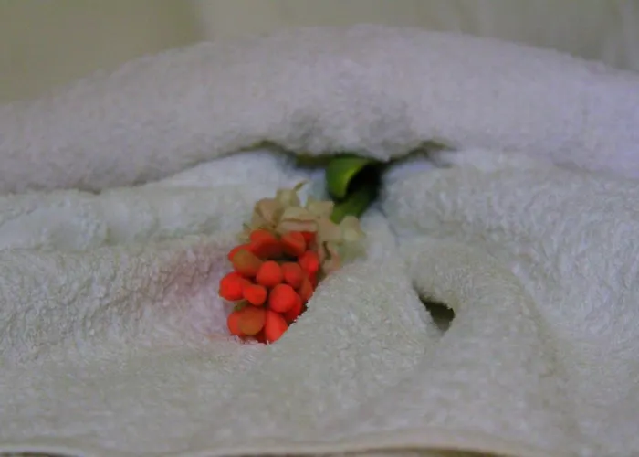 Apartment Tzaneria Skiathos *