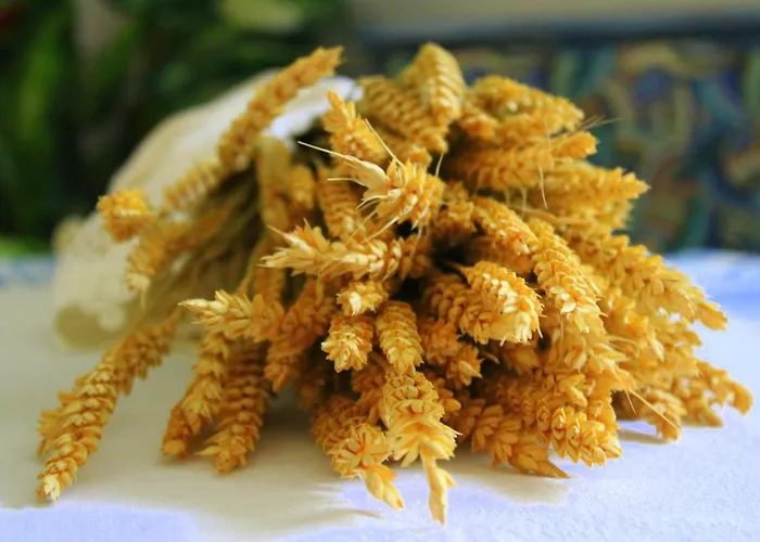 Tzaneria Skiathos Apartment Kanapitsa (Skiathos)