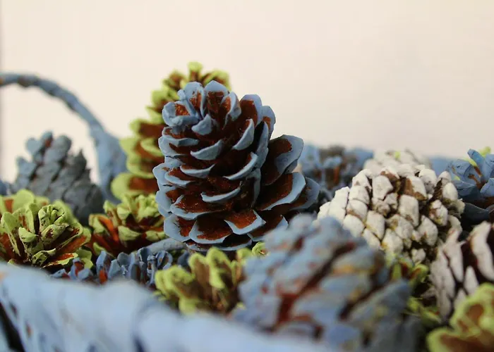 Tzaneria Skiathos Apartment *