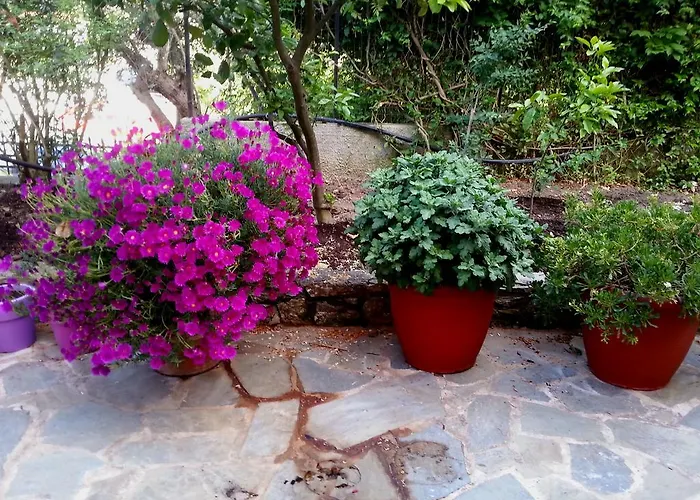 Tzaneria Skiathos Apartment *