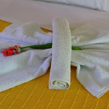 公寓 Tzaneria Skiathos