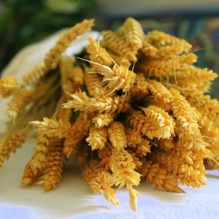 Tzaneria Skiathos 公寓 卡纳皮特萨
