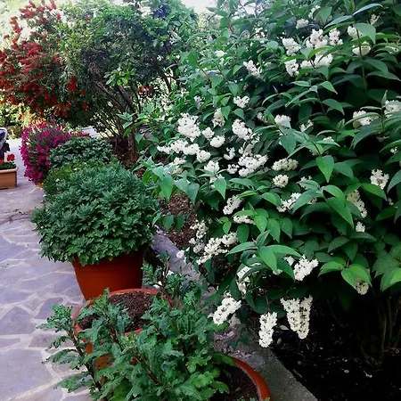 아파트 Tzaneria Skiathos